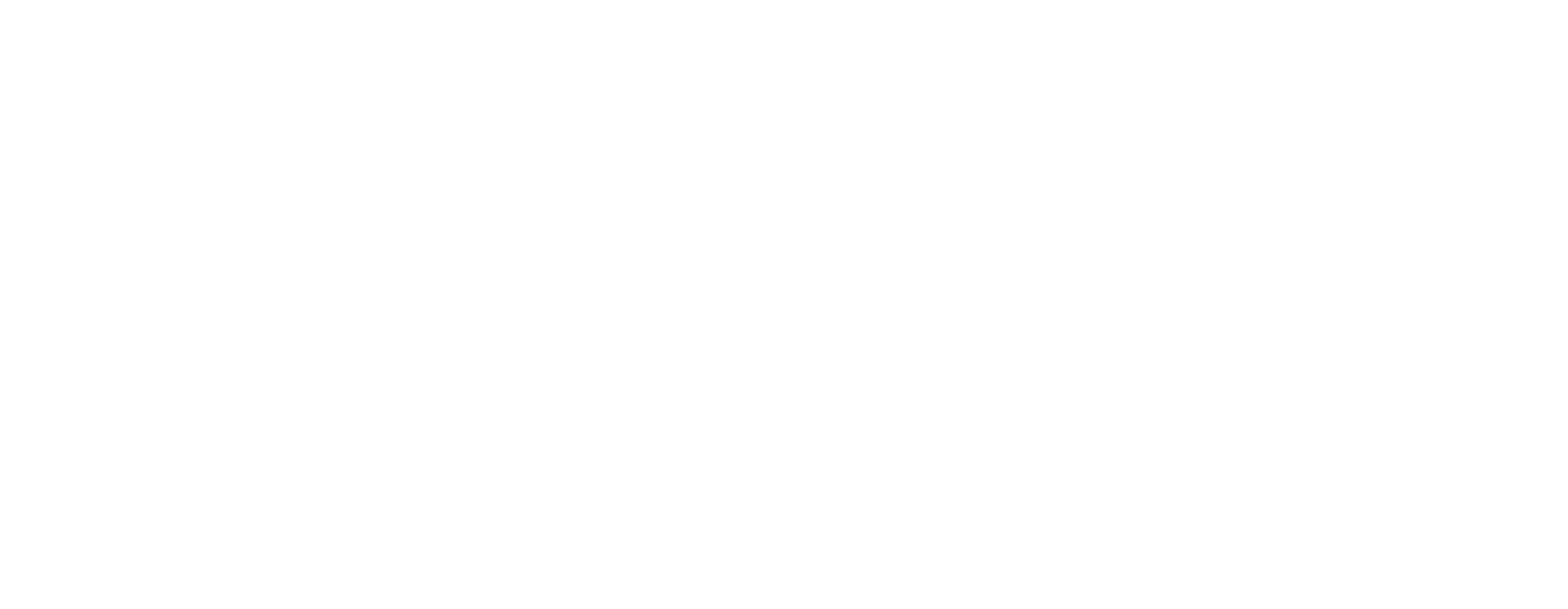 NIVOLT Logo